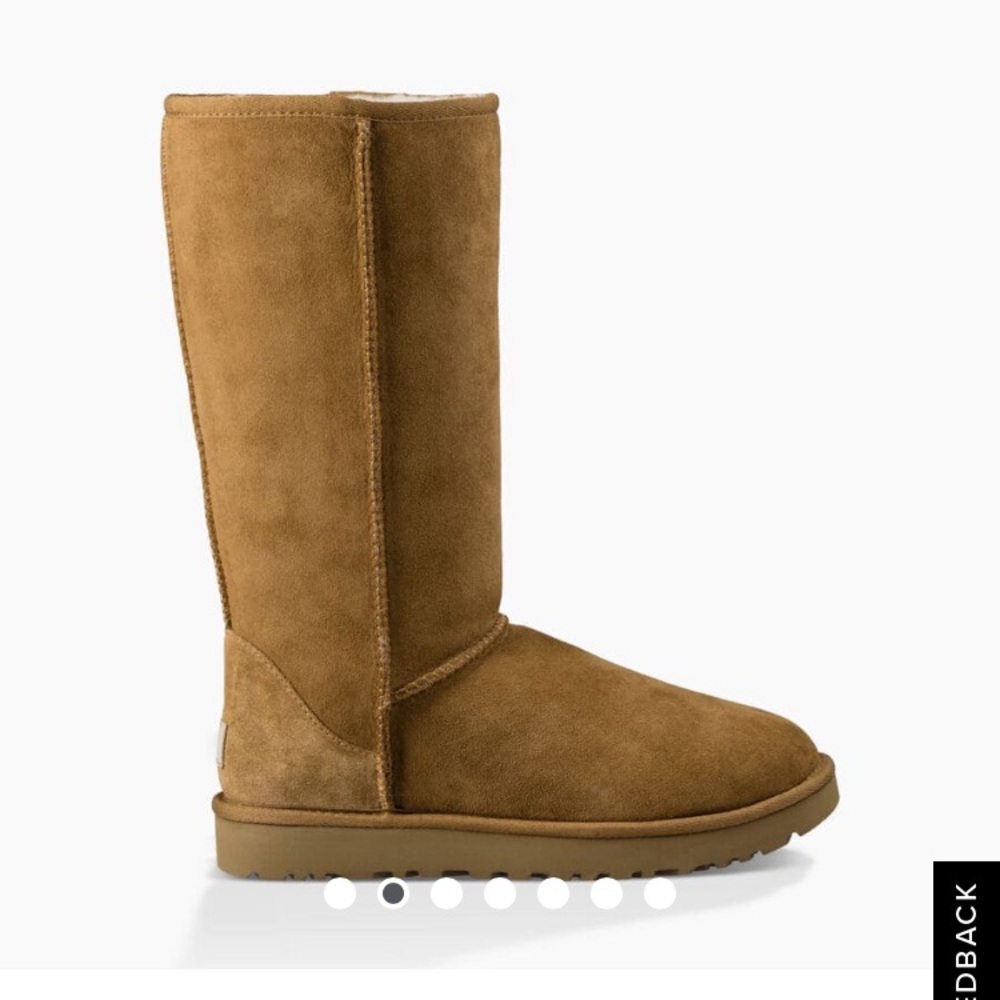 UGG Chestnut Suede Winter Boots